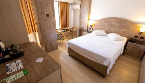 Double Room with Mountain View