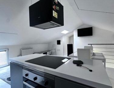 One-bedroom Loft Apartment 