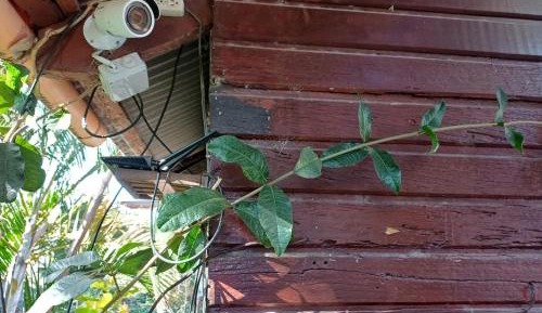 Family Room with Private Bathroom