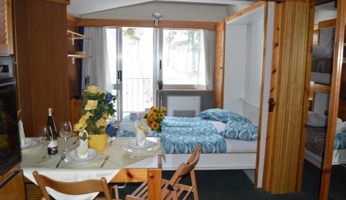 One-Bedroom Apartment with Mountain View (4 Adults) 