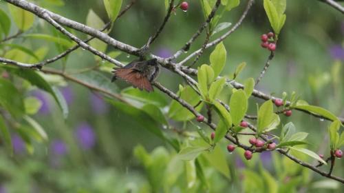 Apartment with Mountain View