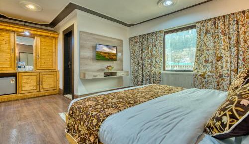 Double Room with Mountain View