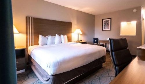 King Room - Non-Smoking