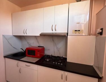 One-Bedroom Family Apartment