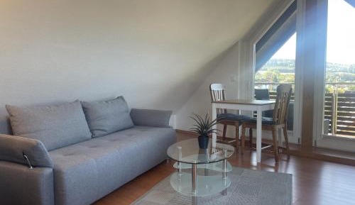 Superior One-Bedroom Apartment with Balcony