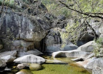 Four-Bedroom Apartment