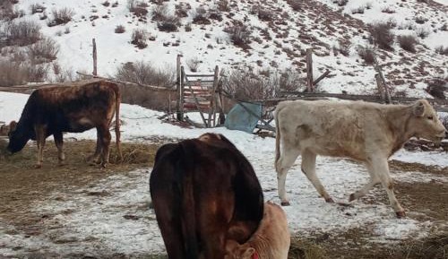 Family Room with Mountain View