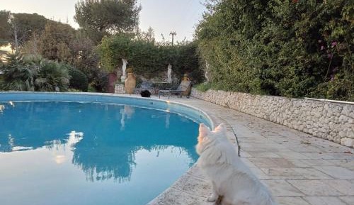 Deluxe Double or Twin Room with Pool Access