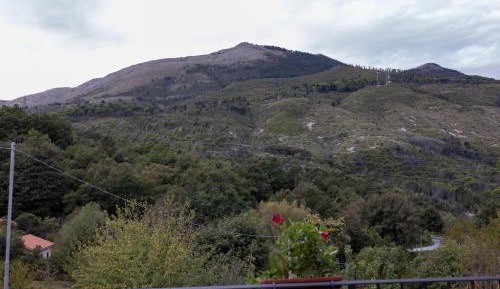King Room with Mountain View