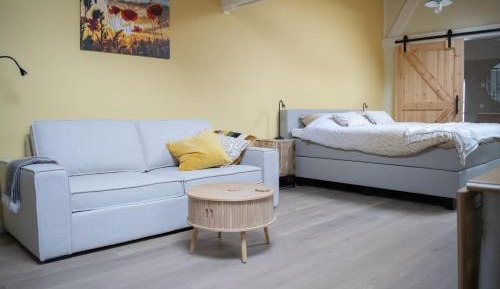 Deluxe Double Room with Shower