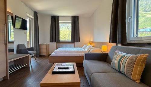 Double Room with Mountain View