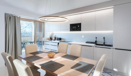 Two-Bedroom Apartment with Mountain View & Balcony (A17)