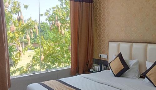 Double Room with Garden View