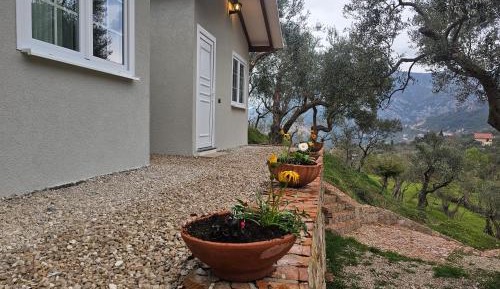 Double Room with Pool View