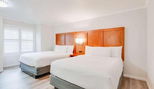 Queen Room with Two Queen Beds and Roll-in Shower - Mobility Accessible/Non-Smoking