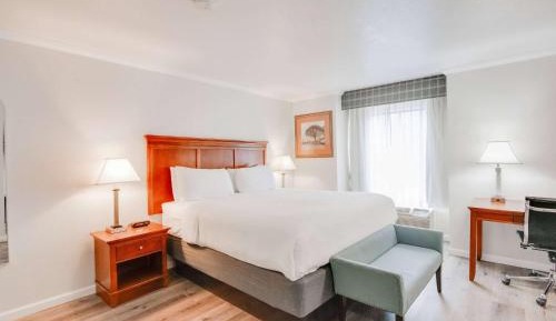 King Room with Jetted Tub - Non-Smoking