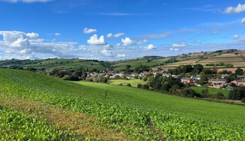Quadruple Room with Shower