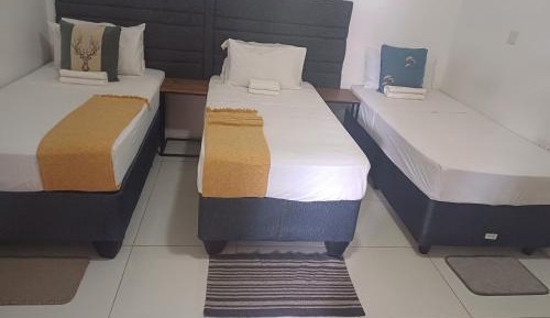Bed in 4-Bed Mixed Dormitory Room