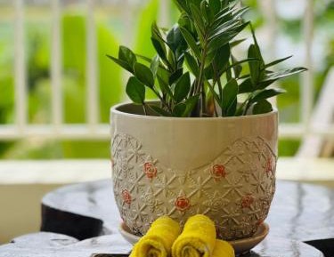 King Suite with Balcony