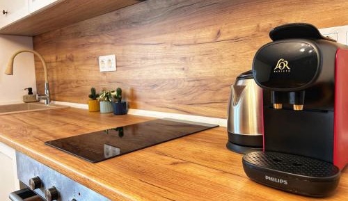 Two-Bedroom Apartment with Mountain View