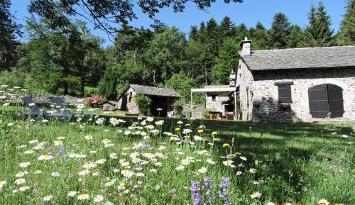 Holiday Home (8 Adults)