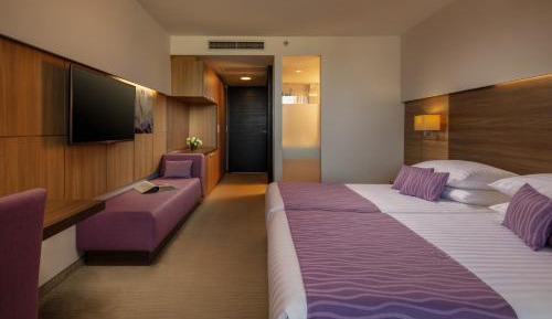 Twin Room with Balcony and Park Side