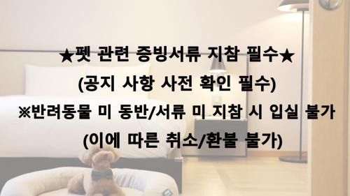 Pet Heritage Suite Ondol Room