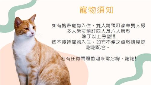 Budget Double Room (No Window.No parking space)