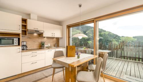 Apartment with Mountain View