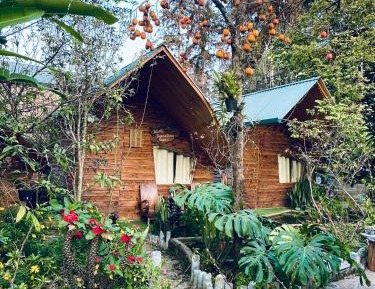 One-Bedroom Bungalow