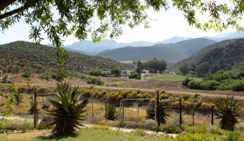 Standard Three-Bedroom Cottage