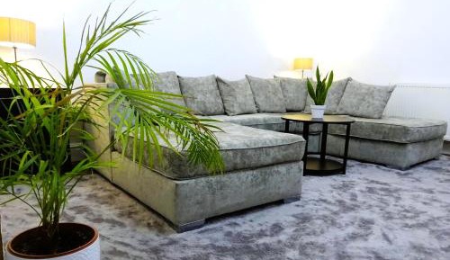 Superior Family Room