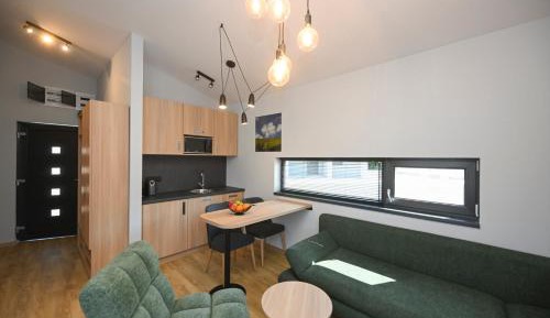 Deluxe One-Bedroom Apartment