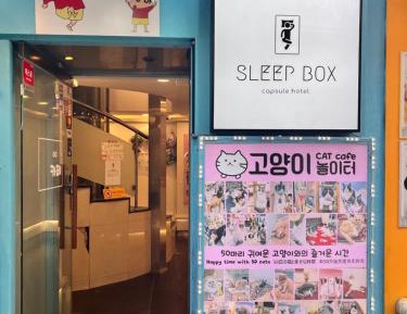 Bunk Bed in Female Dormitory Room  