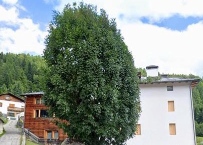 Two-Bedroom Family Apartment