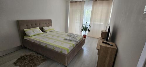 Studio Apartment with King Bed