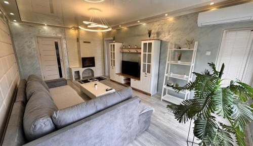 One-Bedroom Apartment with View