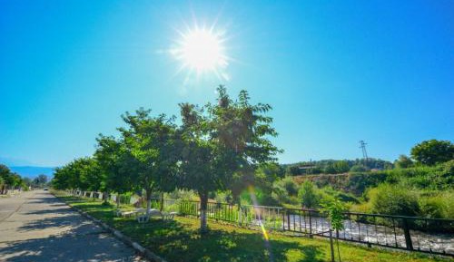 Double or Twin Room with Garden View