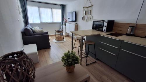 Studio with Garden View