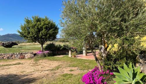 Studio with Garden View