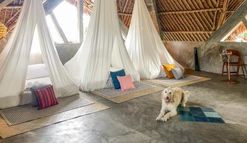 One-Bedroom Apartment with Bay View