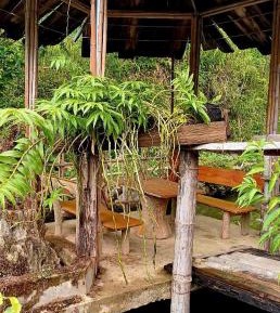 Large Double or Twin Room