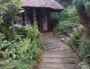 Studio with Pool View