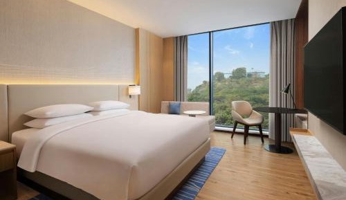 Superior King Room with City View