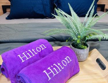 King Studio with Sofa Bed