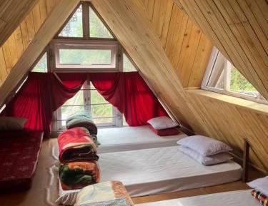 Mixed Dormitory Room