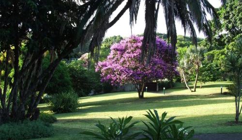 King Room with Garden View