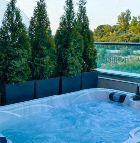 One-Bedroom Apartment with Spa Bath