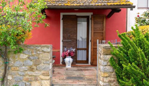Studio with Garden View
