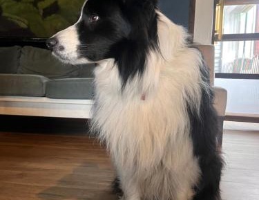 Economy Double or Twin Room